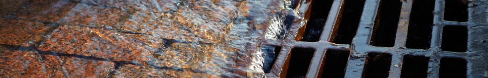 160_shutterstock_74603293.jpg