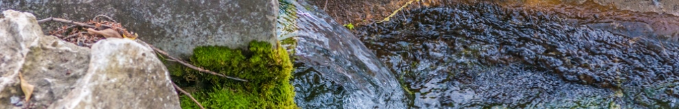 160_shutterstock_106125770.jpg