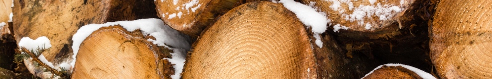160_shutterstock_125929421.jpg