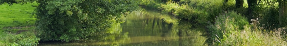 160_shutterstock_16893088.jpg