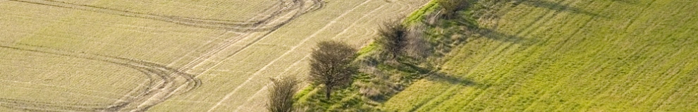 160_shutterstock_2202163.jpg