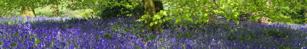 160_shutterstock_54986692.jpg