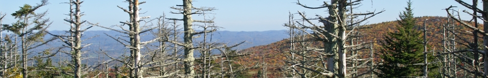 160_shutterstock_68777392.jpg