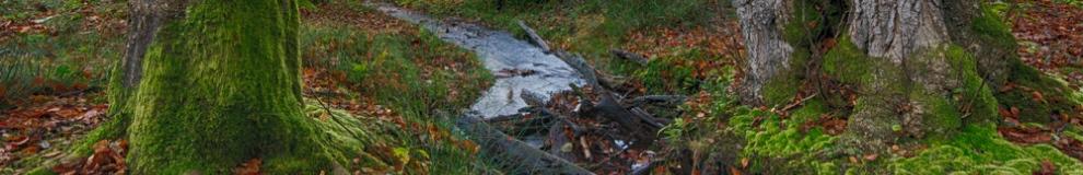 160_shutterstock_120995530.jpg